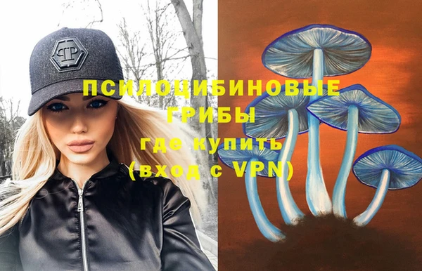 дживик Лихославль