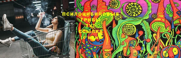 дживик Лихославль